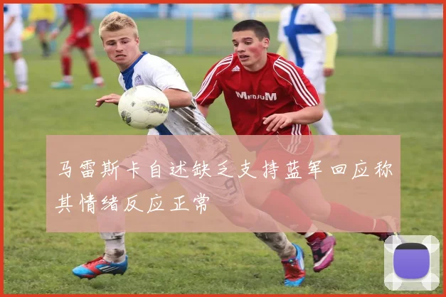 马雷斯卡自述缺乏支持蓝军回应称其情绪反应正常