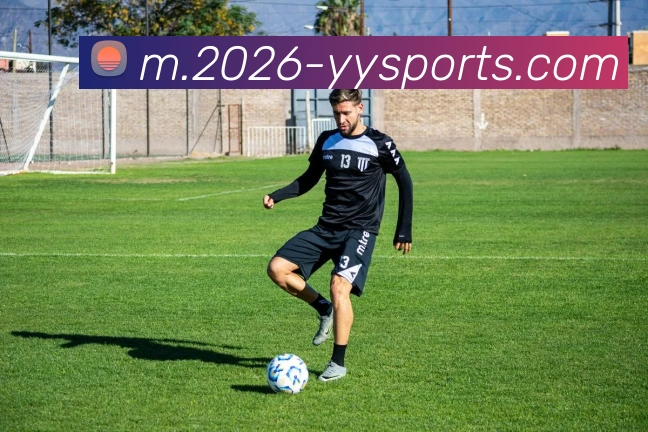 易游体育平台生态图