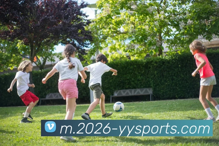 易游体育APP 封面图